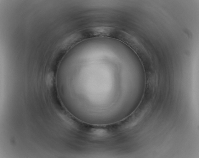 X0000114150649200910151545