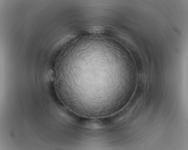X0000114150652200910151545