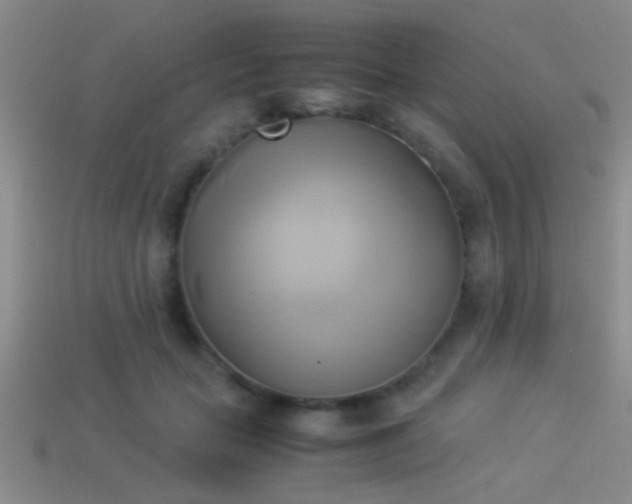 X0000114150653200910151545