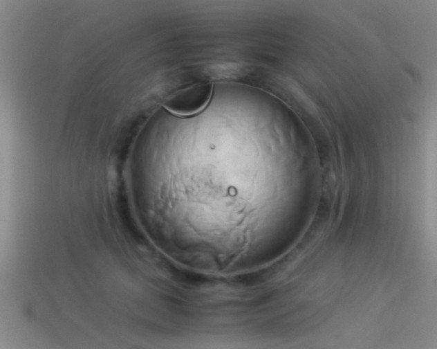 X0000114150655200910151545