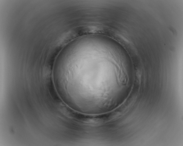 X0000114150657200910151545