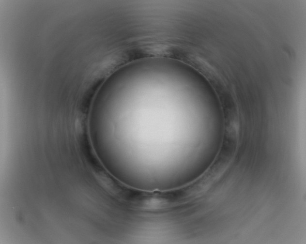 X0000114150658200910151545