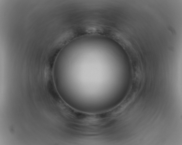 X0000114150659200910151545