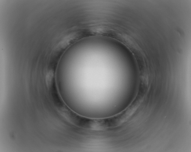 X0000114150660200910151545