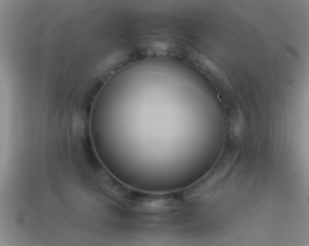 X0000114150661200910151545