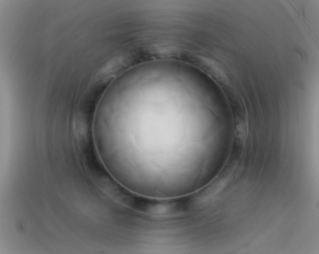 X0000114150662200910151546