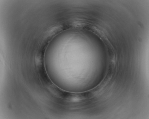 X0000114150663200910151546