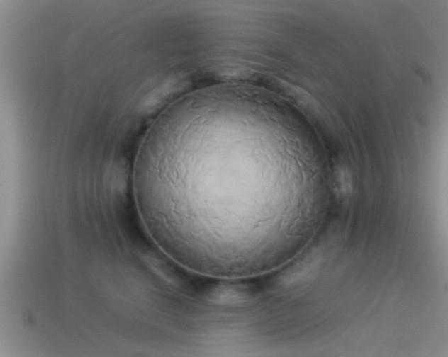 X0000114150664200910151546