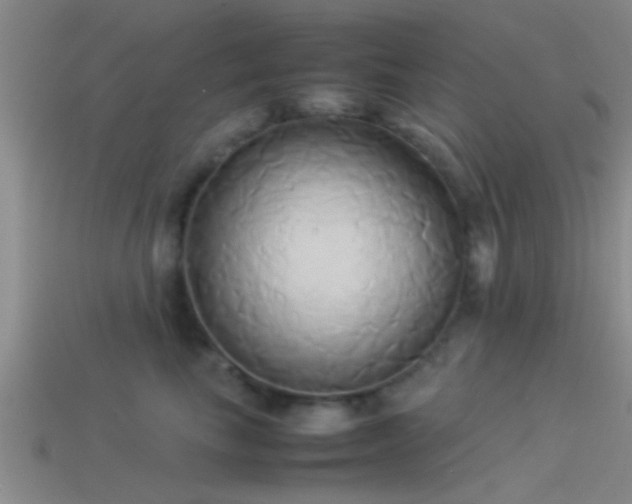 X0000114150665200910151546