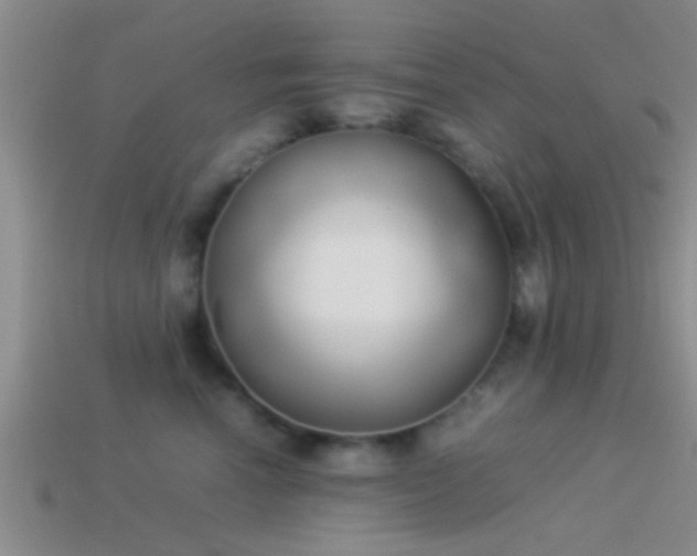 X0000114150666200910151546