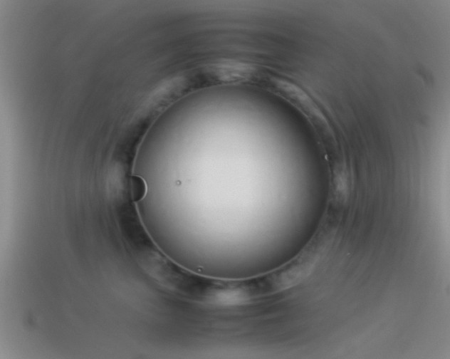 X0000114150667200910151546