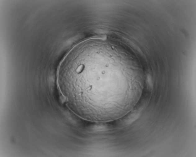 X0000114150668200910151546