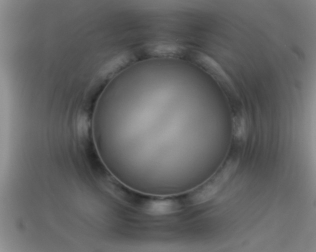 X0000114150669200910151546