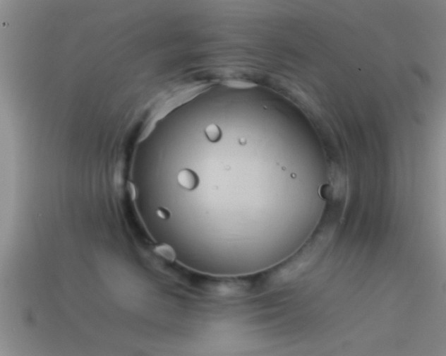 X0000114150670200910151546