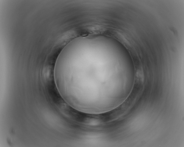 X0000114150671200910151546