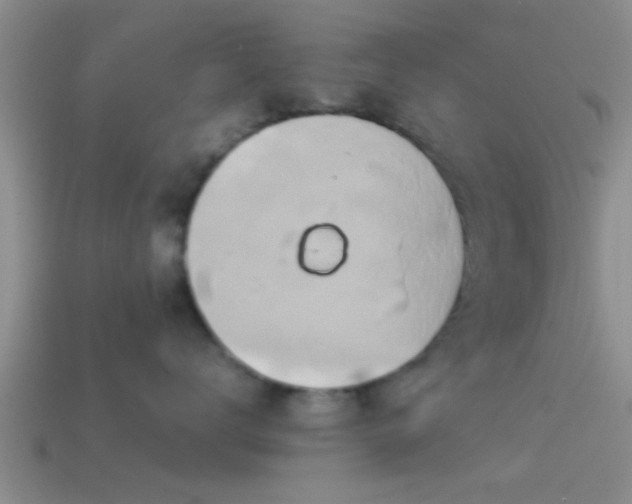 X0000114150672200910151546
