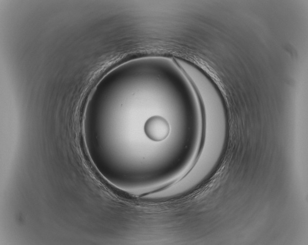 X0000114150673200910151545