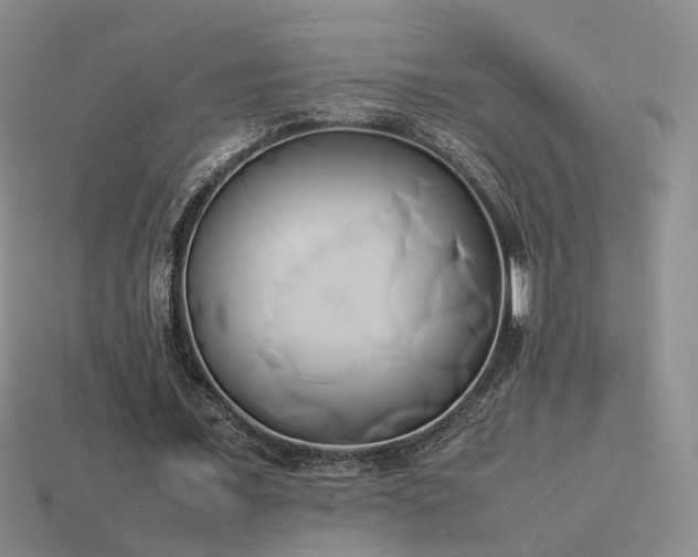 X0000114150675200910151545