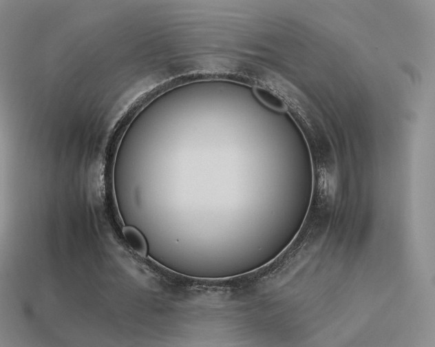 X0000114150676200910151545