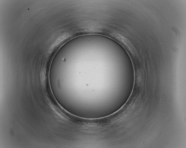 X0000114150677200910151545
