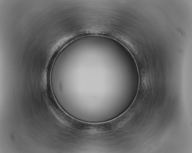 X0000114150678200910151545