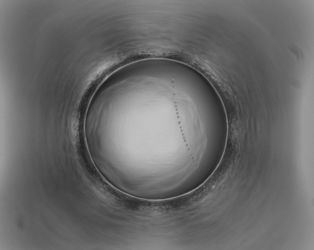 X0000114150679200910151545