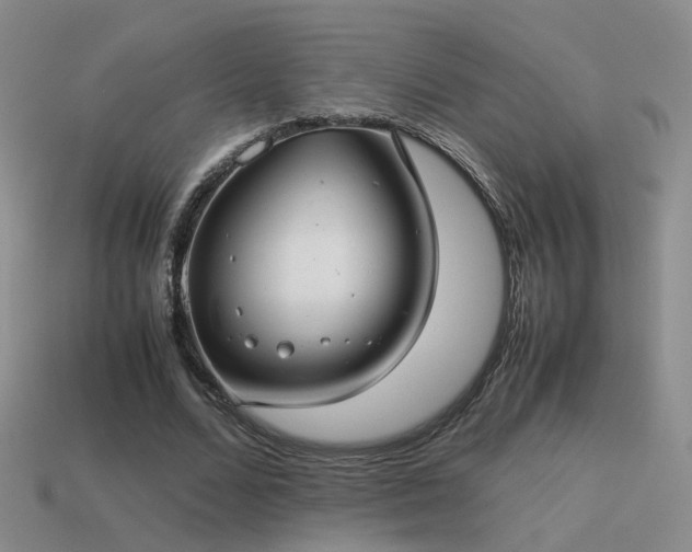 X0000114150680200910151545