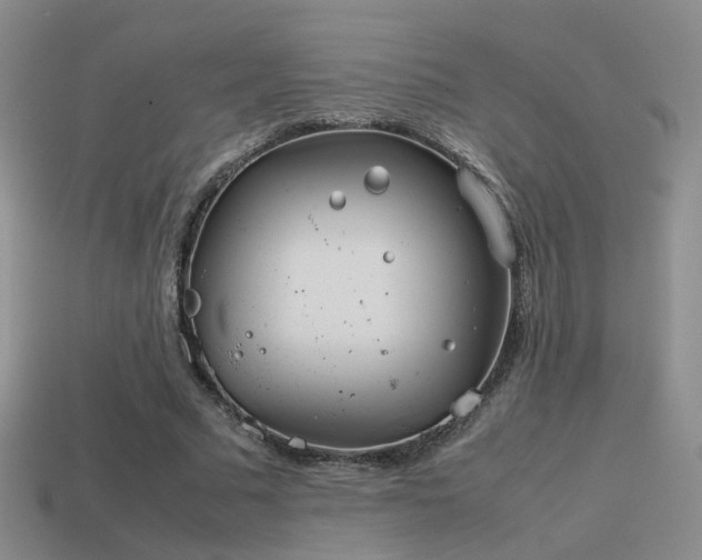 X0000114150681200910151545
