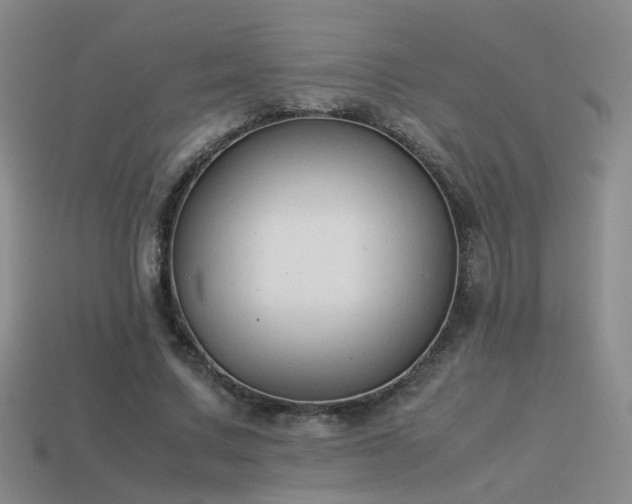 X0000114150683200910151545