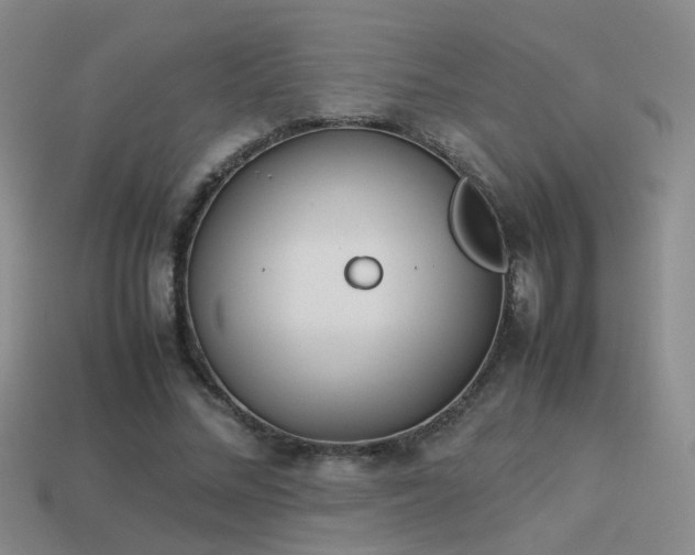 X0000114150684200910151545