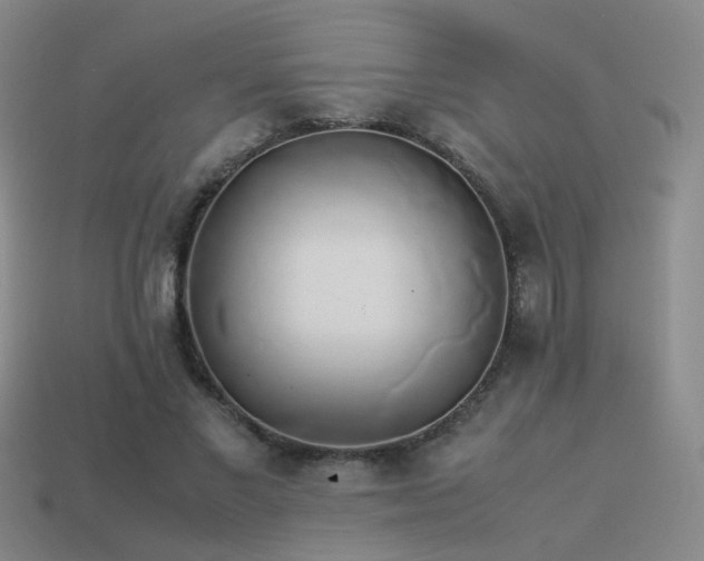 X0000114150685200910151545