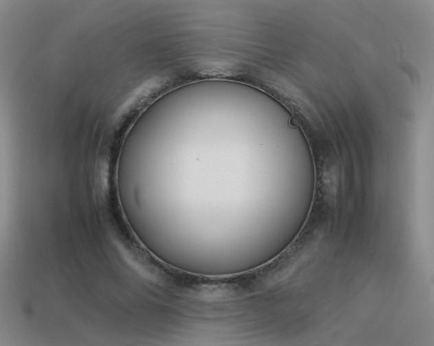 X0000114150686200910151545