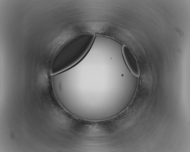 X0000114150688200910151545