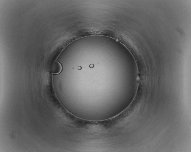 X0000114150689200910151545