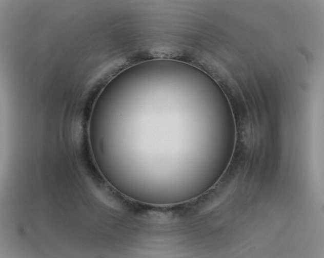 X0000114150690200910151545