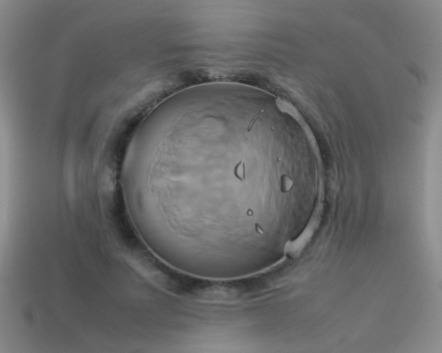 X0000114150691200910151545