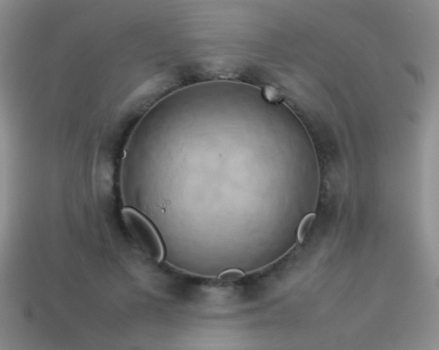X0000114150693200910151545