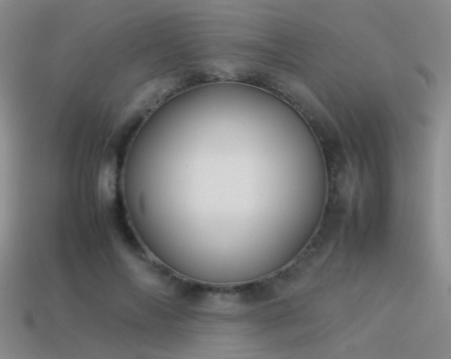 X0000114150694200910151545