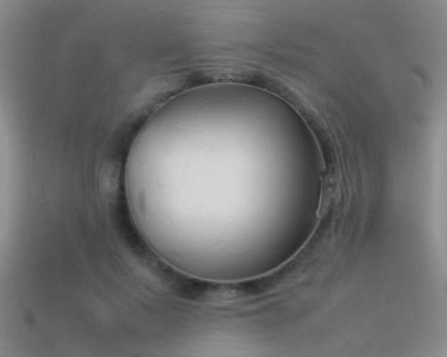 X0000114150695200910151545