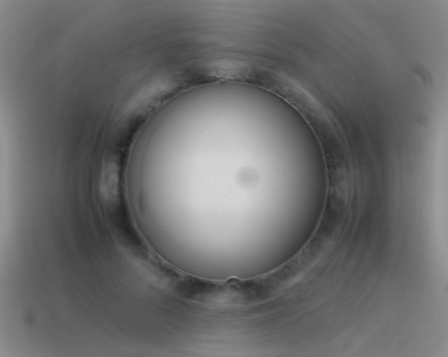 X0000114150696200910151545