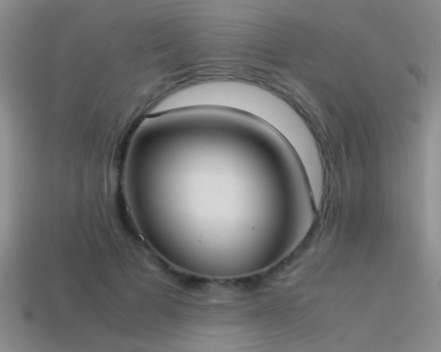 X0000114150697200910151545