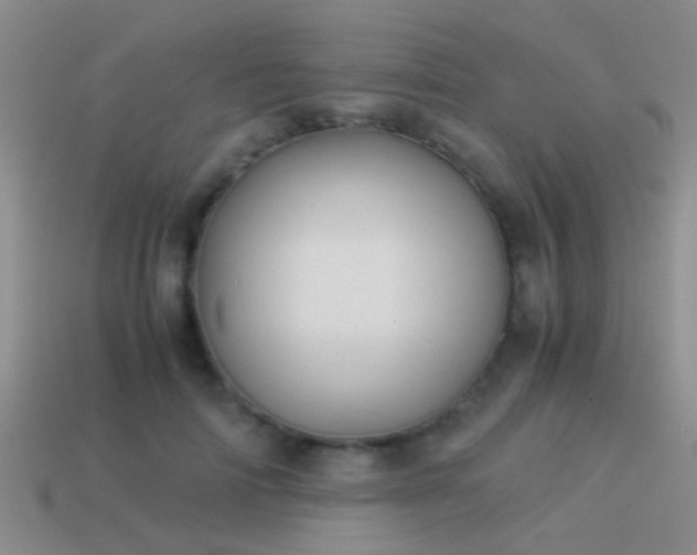 X0000114150698200910151545