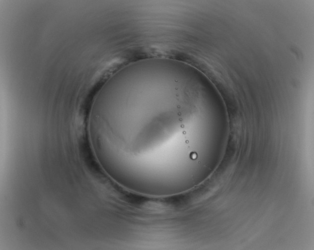 X0000114150699200910151545
