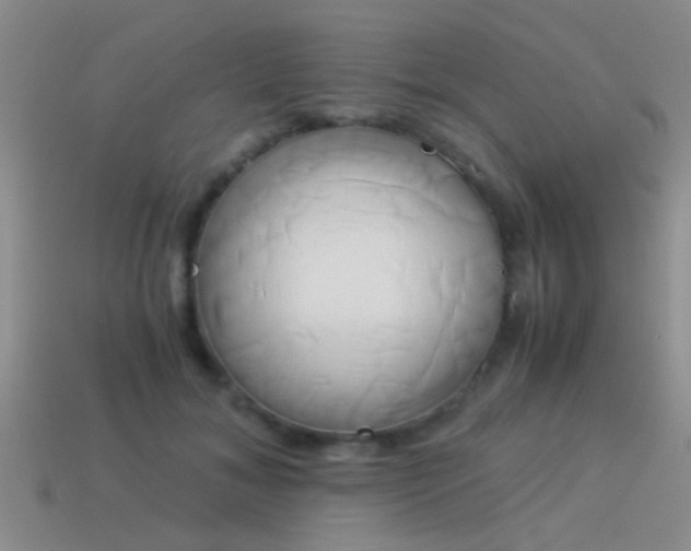 X0000114150700200910151544