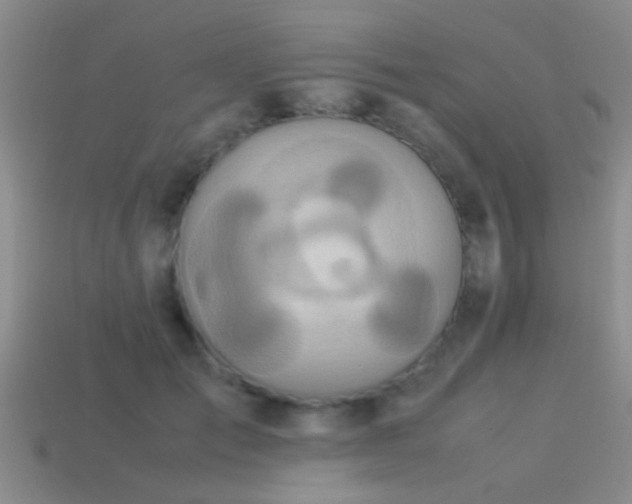 X0000114150701200910151544