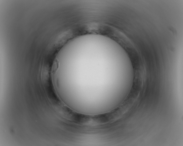 X0000114150702200910151544