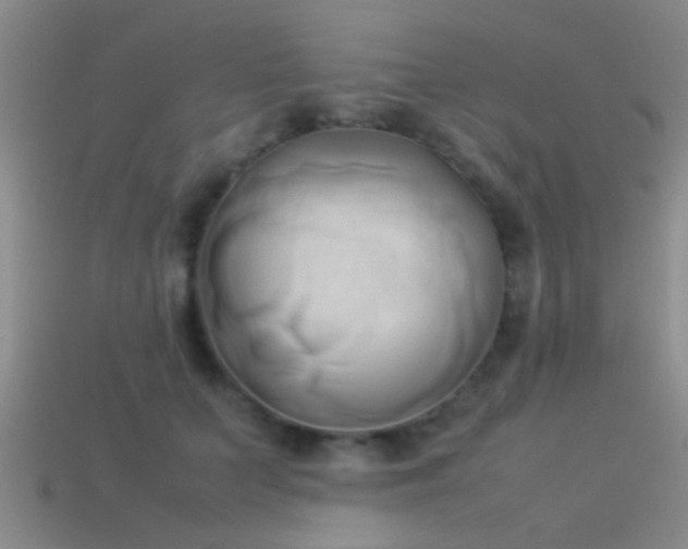 X0000114150703200910151544
