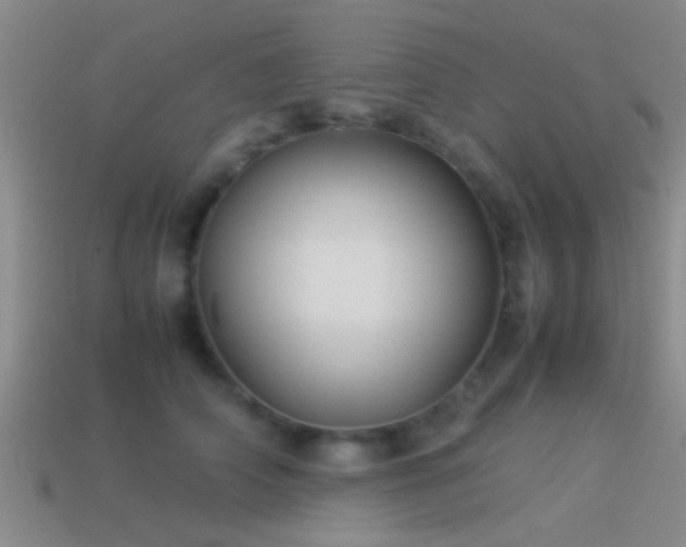 X0000114150706200910151544