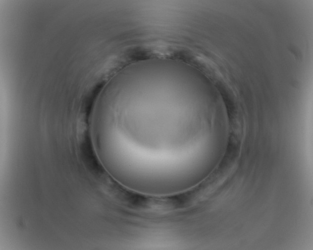 X0000114150707200910151544