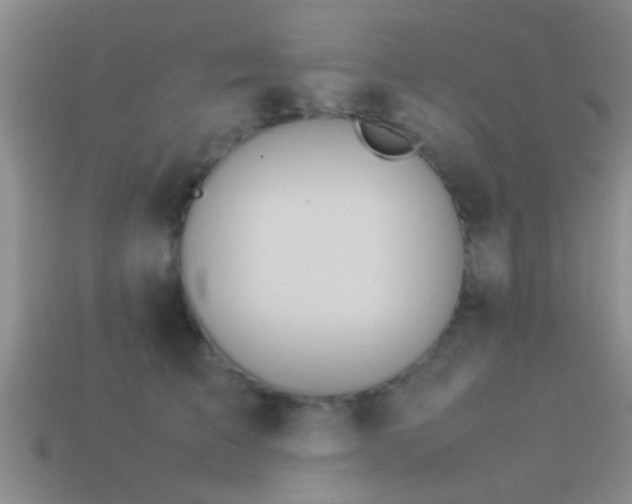 X0000114150709200910151544